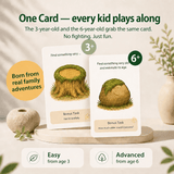 Explorer Bundle Set - 3 Card Sets 7